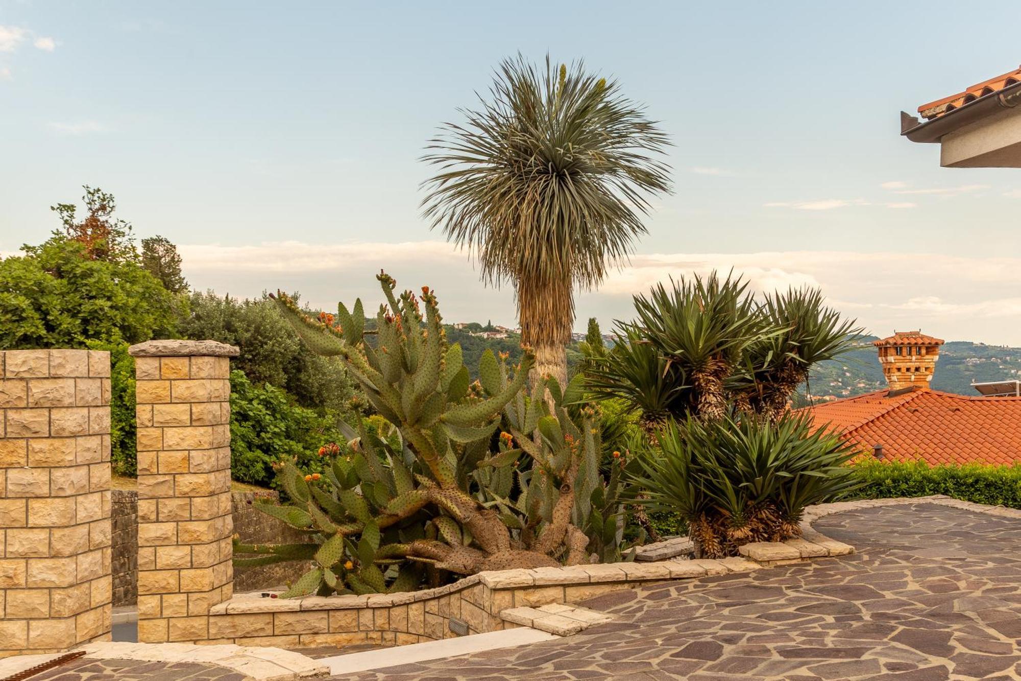 בפורטורוז Villa Bellavista I מראה חיצוני תמונה